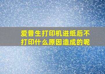 爱普生打印机进纸后不打印什么原因造成的呢