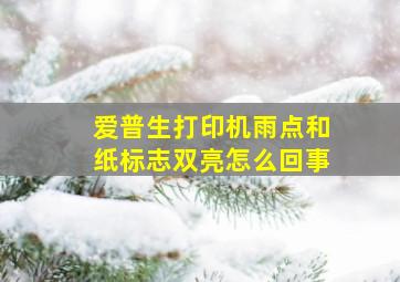 爱普生打印机雨点和纸标志双亮怎么回事