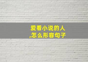 爱看小说的人,怎么形容句子