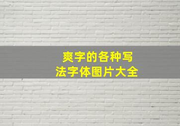 爽字的各种写法字体图片大全