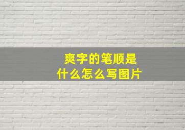 爽字的笔顺是什么怎么写图片