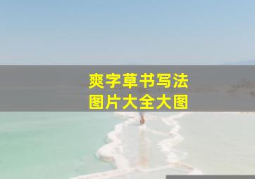 爽字草书写法图片大全大图