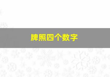 牌照四个数字