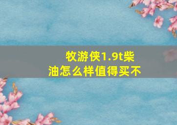 牧游侠1.9t柴油怎么样值得买不