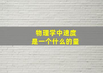 物理学中速度是一个什么的量