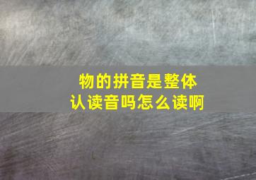 物的拼音是整体认读音吗怎么读啊