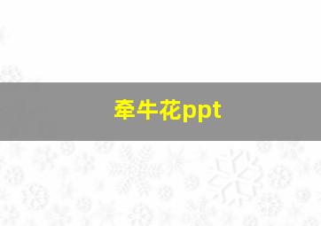 牵牛花ppt