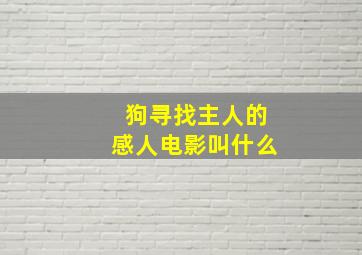 狗寻找主人的感人电影叫什么