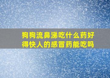 狗狗流鼻涕吃什么药好得快人的感冒药能吃吗