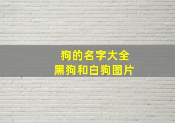 狗的名字大全黑狗和白狗图片