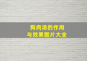 狗肉汤的作用与效果图片大全