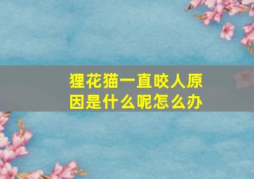 狸花猫一直咬人原因是什么呢怎么办