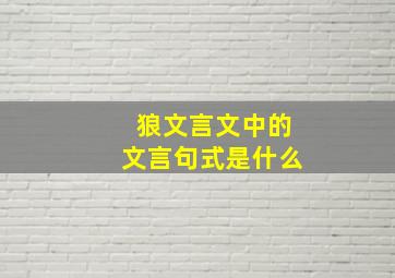 狼文言文中的文言句式是什么