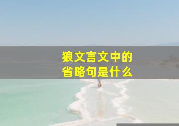 狼文言文中的省略句是什么