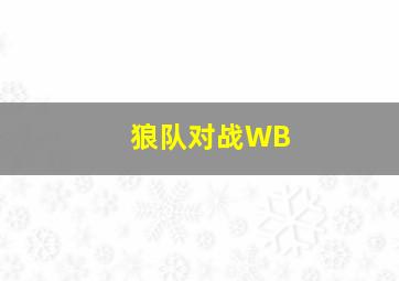 狼队对战WB