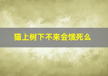 猫上树下不来会饿死么