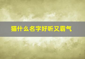 猫什么名字好听又霸气