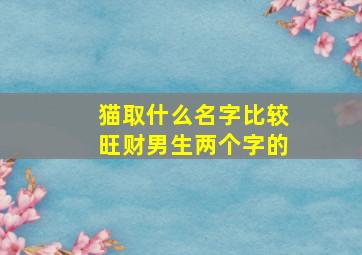 猫取什么名字比较旺财男生两个字的