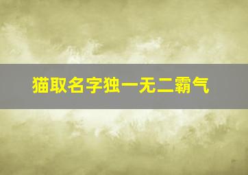 猫取名字独一无二霸气