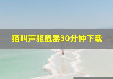 猫叫声驱鼠器30分钟下载