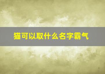 猫可以取什么名字霸气