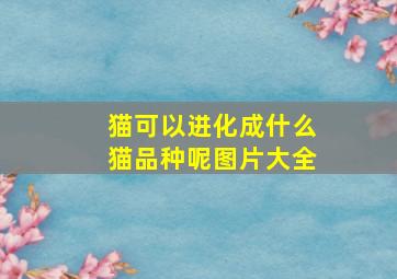 猫可以进化成什么猫品种呢图片大全