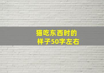 猫吃东西时的样子50字左右