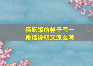 猫吃饭的样子写一段话说明文怎么写