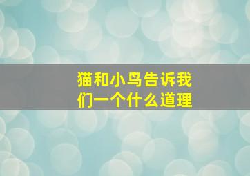 猫和小鸟告诉我们一个什么道理