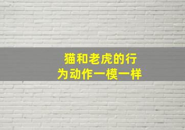 猫和老虎的行为动作一模一样