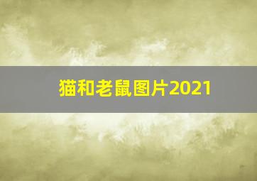 猫和老鼠图片2021