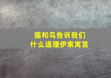 猫和鸟告诉我们什么道理伊索寓言