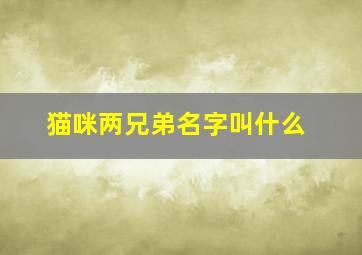 猫咪两兄弟名字叫什么