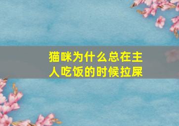 猫咪为什么总在主人吃饭的时候拉屎