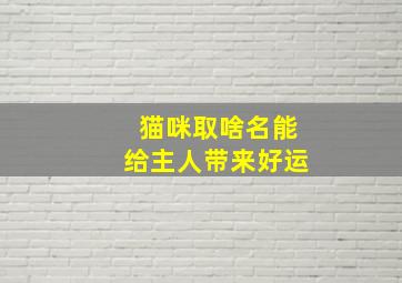 猫咪取啥名能给主人带来好运