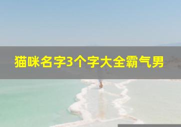 猫咪名字3个字大全霸气男