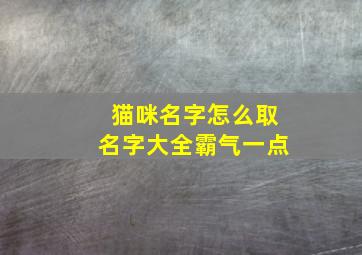 猫咪名字怎么取名字大全霸气一点