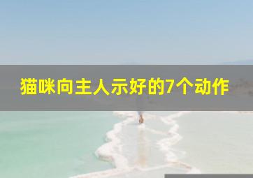 猫咪向主人示好的7个动作