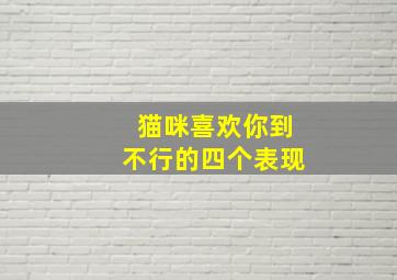 猫咪喜欢你到不行的四个表现