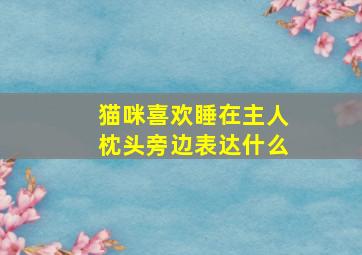 猫咪喜欢睡在主人枕头旁边表达什么