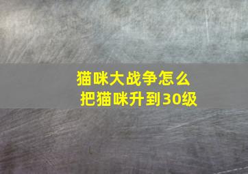 猫咪大战争怎么把猫咪升到30级