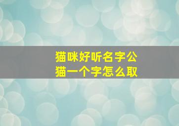 猫咪好听名字公猫一个字怎么取