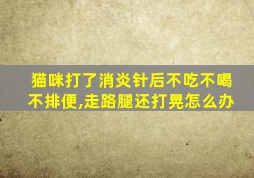 猫咪打了消炎针后不吃不喝不排便,走路腿还打晃怎么办