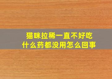 猫咪拉稀一直不好吃什么药都没用怎么回事