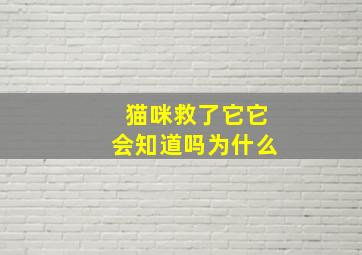 猫咪救了它它会知道吗为什么