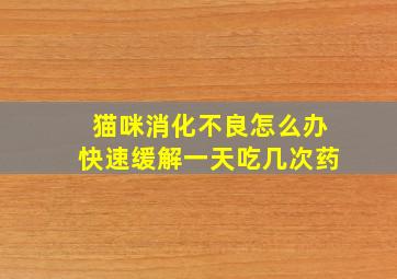 猫咪消化不良怎么办快速缓解一天吃几次药