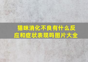 猫咪消化不良有什么反应和症状表现吗图片大全