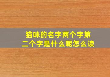 猫咪的名字两个字第二个字是什么呢怎么读