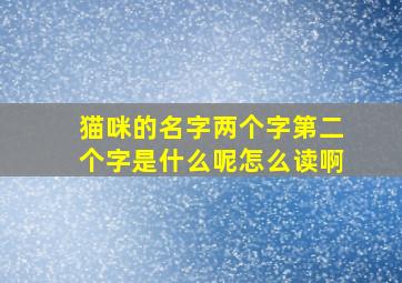 猫咪的名字两个字第二个字是什么呢怎么读啊