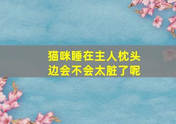 猫咪睡在主人枕头边会不会太脏了呢